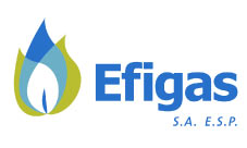 EFIGAS